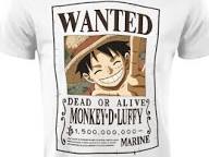 ONE PIECE T-SHIRTS